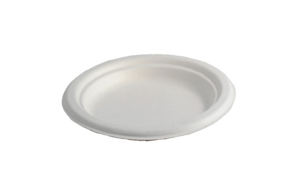 BIODEGRADABLE PLATE 10â€ PLAIN (500`S)