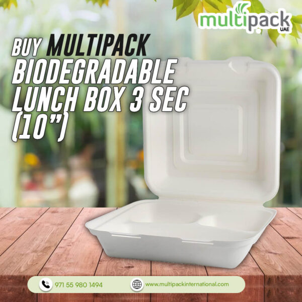 Biodegradable Disposable Lunch Boxes