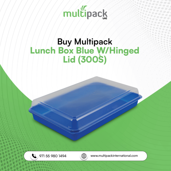 Buy LUNCH BOX BLUE W/HINGED LID (300`S)