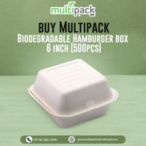 Biodegradable Hamburger box 6 inch (500pcs)