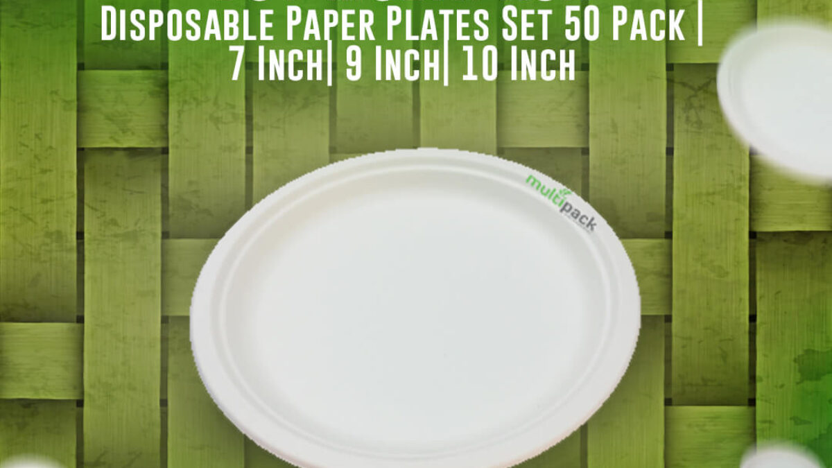 Bestree 10 Inch Disposable Paper Plates,150 Count Paper Bestree 10 Inch Disposable Paper Plates,150 Count Paper