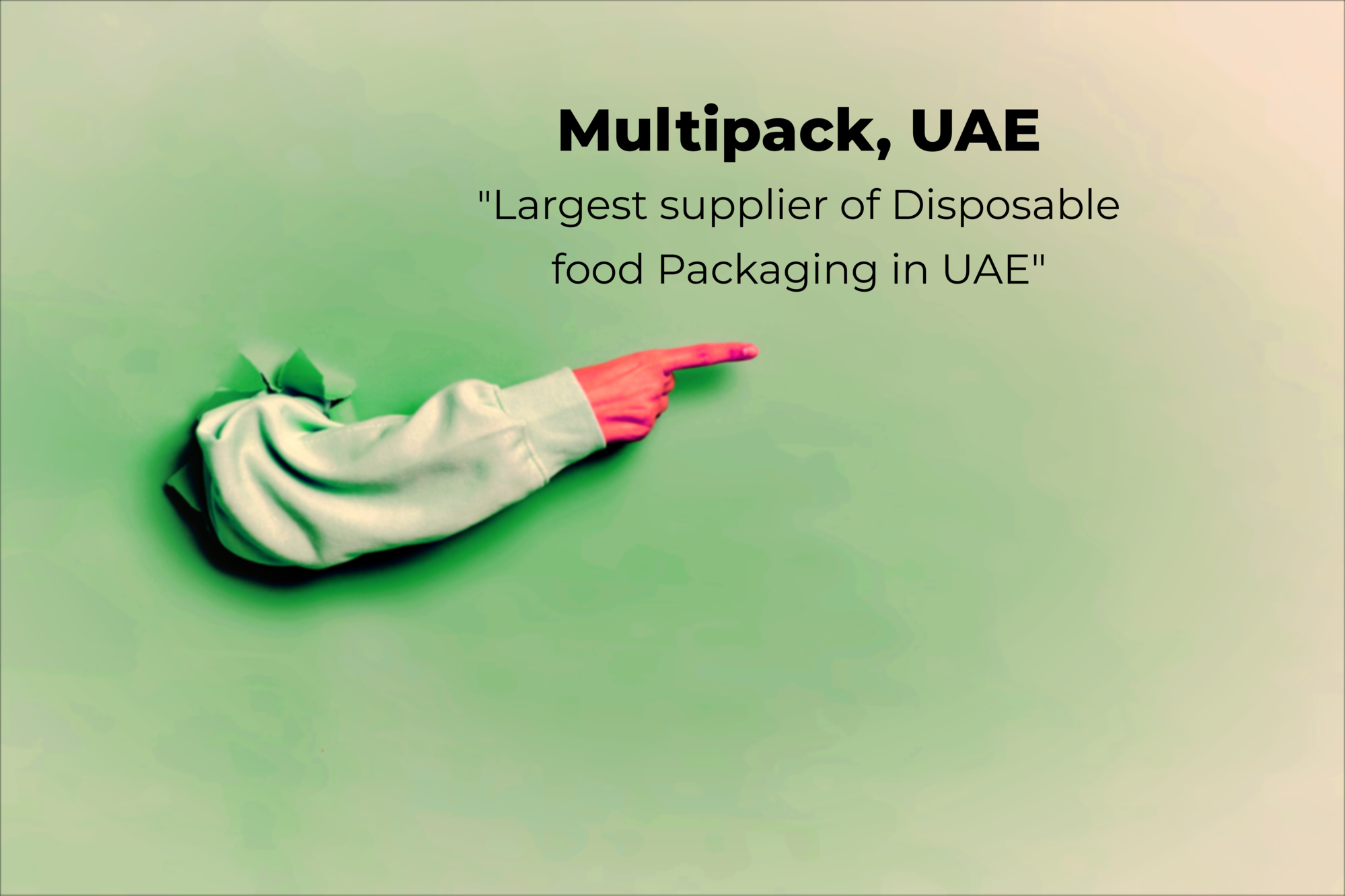 Largest supplier of Disposable food Packaging in UAE