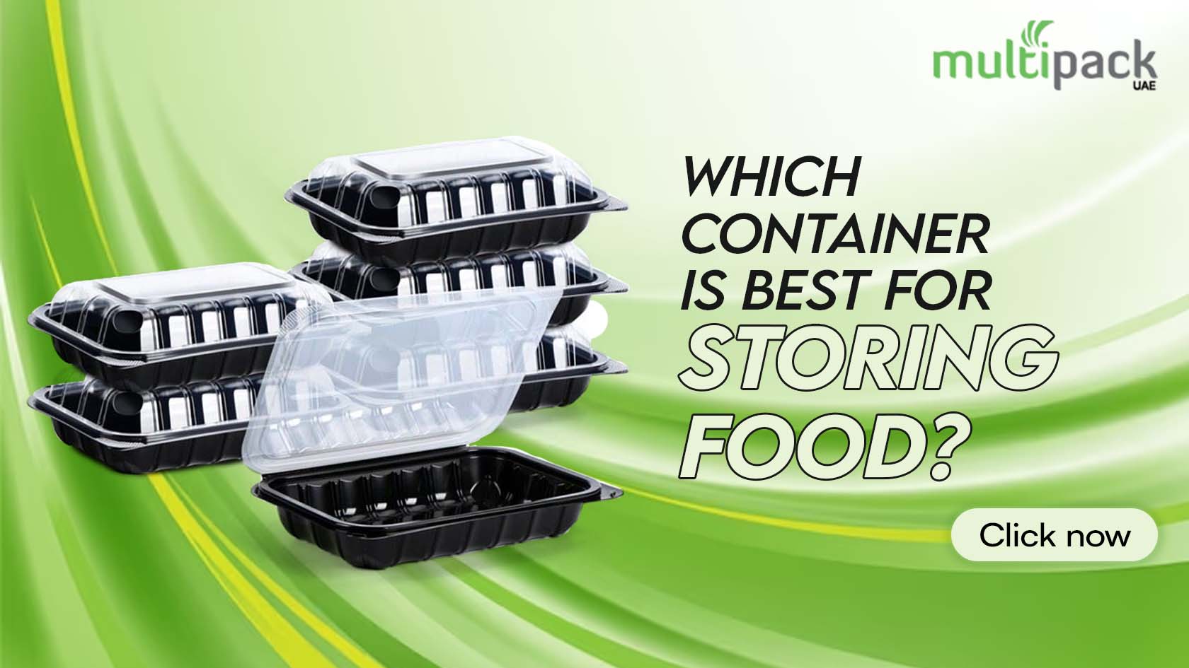 Which Container is Best for Storing Food?